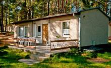Ferienhaus Zaunkönig